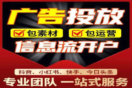竞价广告的投放策略与效果评估——以一成功企业为例